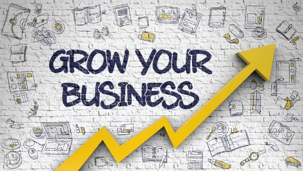 Grow your Business- Ray&Go