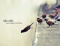 Risk Management & Crises
